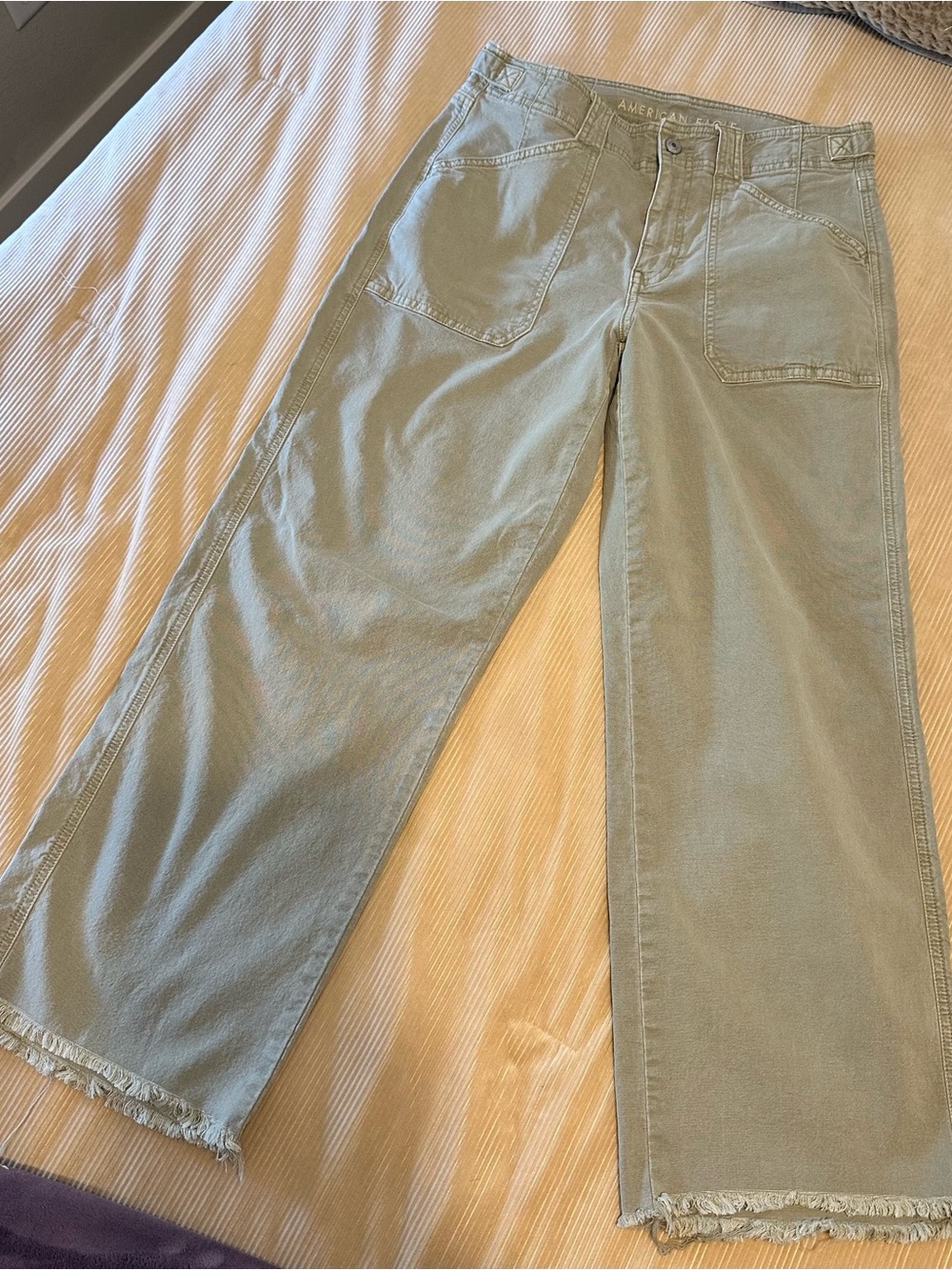 American Eagle Outfitters Light Sage Utility Pants